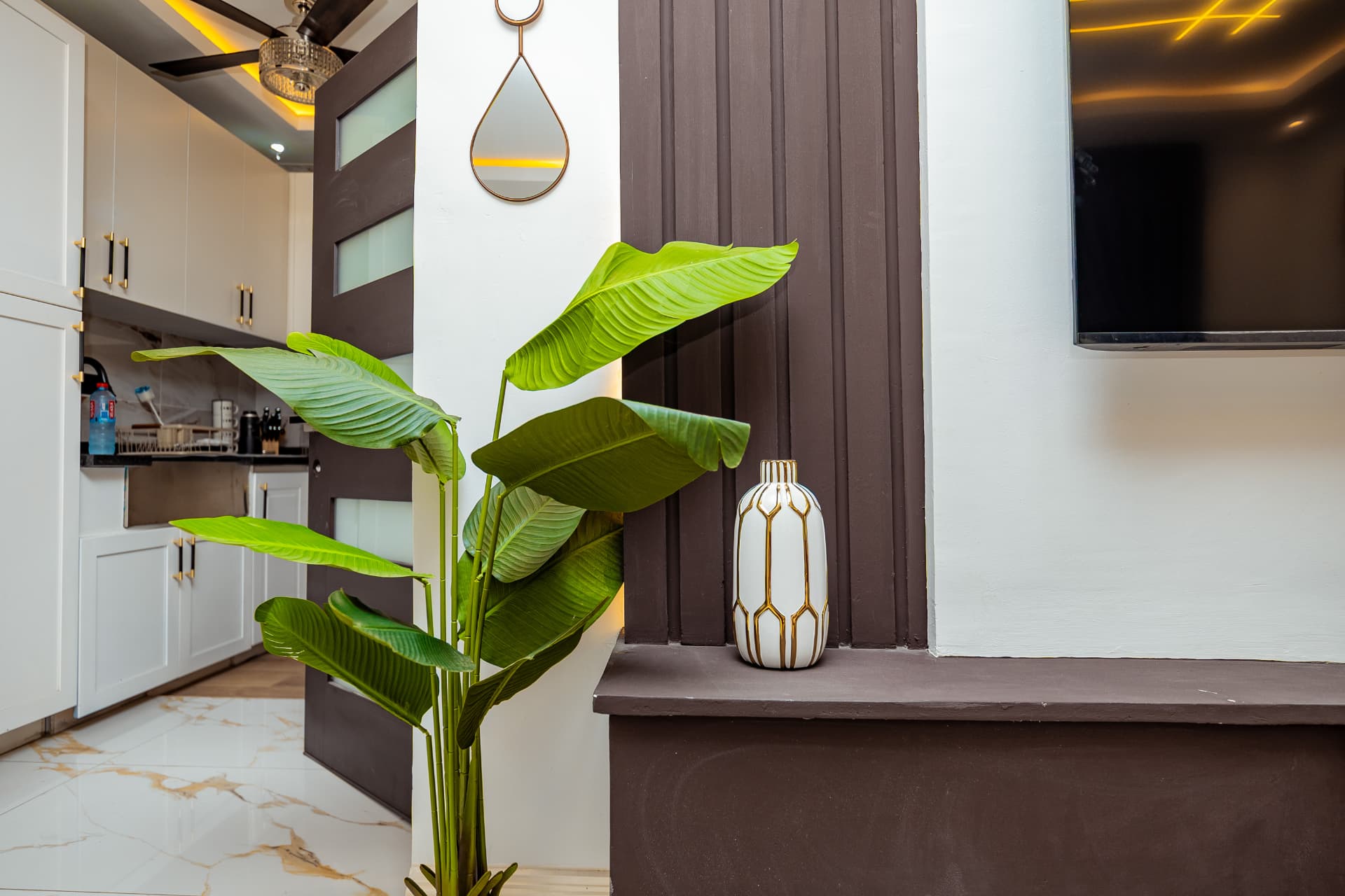 Entry hallway with sculptural plant and open kitchen beyond